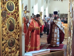 О самаряныне